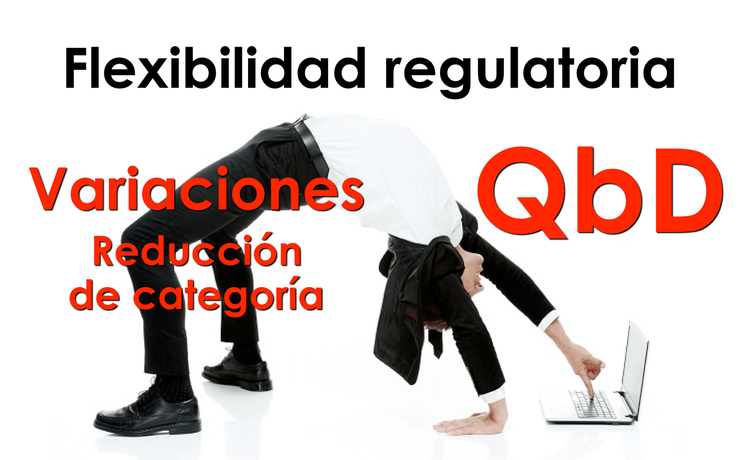 Flexibilidad regulatoria