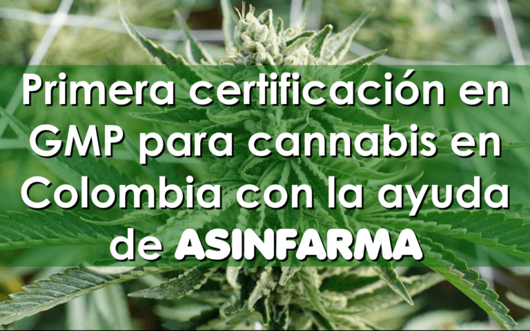 Certificación GMP Cannabis